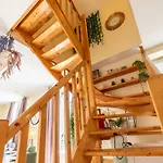 F3 Duplex lumineux Amazonia Hypercentre Lamartine 203