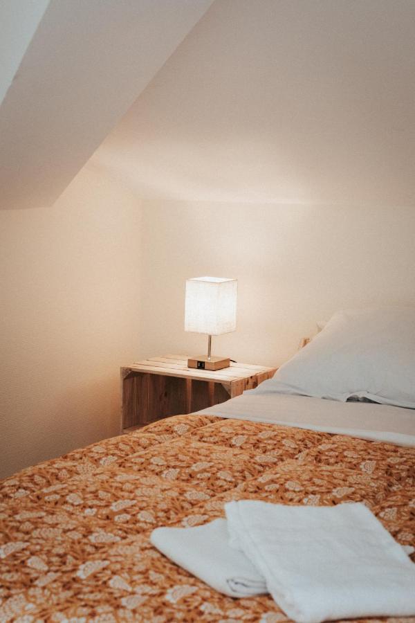 F3 Duplex Lumineux Amazonia Hypercentre Lamartine 203 Appartement *