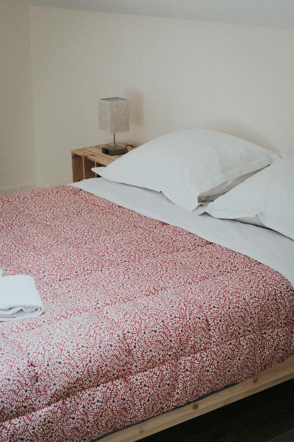 F3 Duplex Lumineux Amazonia Hypercentre Lamartine 203 * Clermont-Ferrand