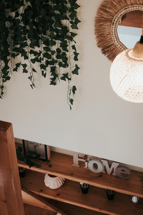 F3 Duplex Lumineux Amazonia Hypercentre Lamartine 203 *